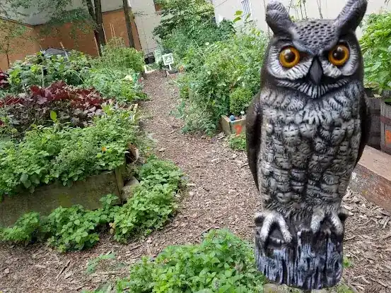 Garden of Love
