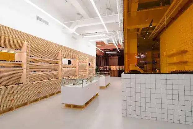 Garrett Leight California Optical
