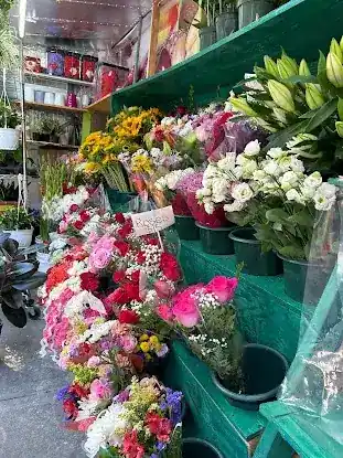 GEMINIS FLOWER SHOP