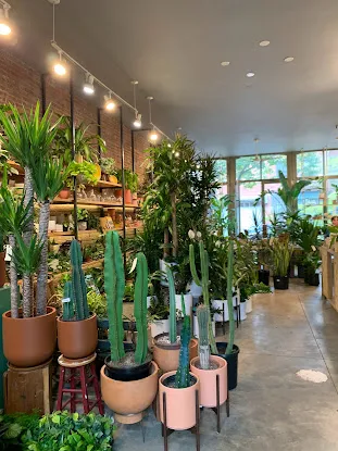Geometry Garden & Floral Shop