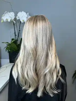 George K. salon