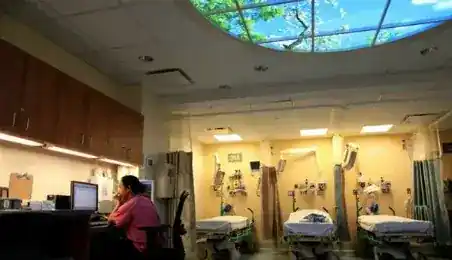 Geriatric Emergency Department - Mount Sinai Hospital