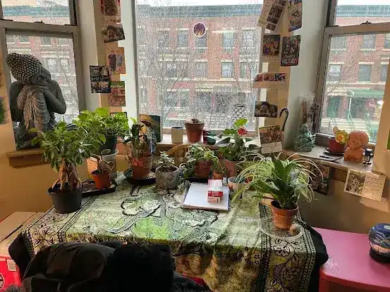 Ginger Camp Headquarters