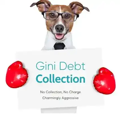 Gini Debt Collection