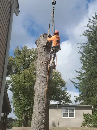 Giron's Tree Service