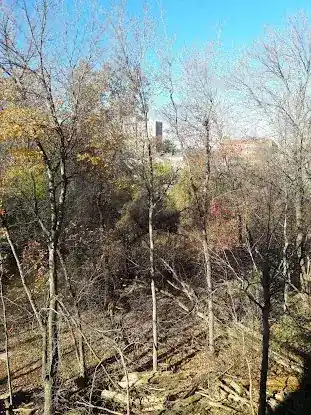 Givans Creek Woods
