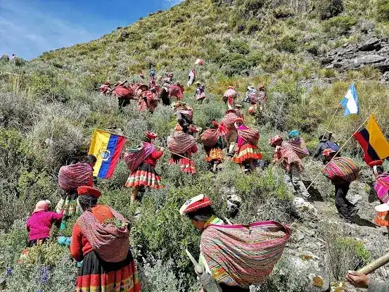 Global Forest Generation