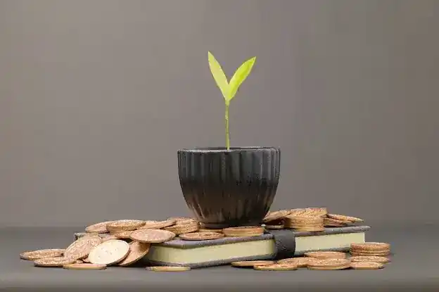 Go-Overseas Education Consultants