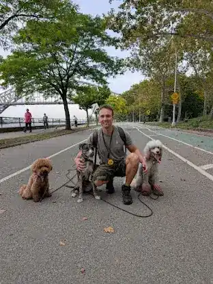 GOBESS Dog Training