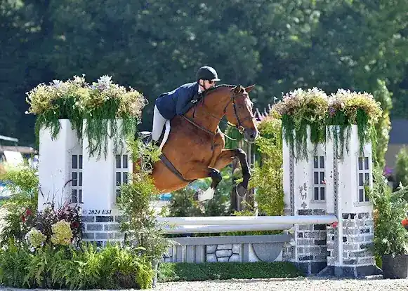 Gold Leaf Stables, LLC