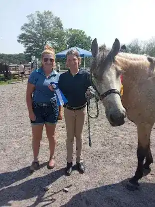 Golden Hope Performance Horses