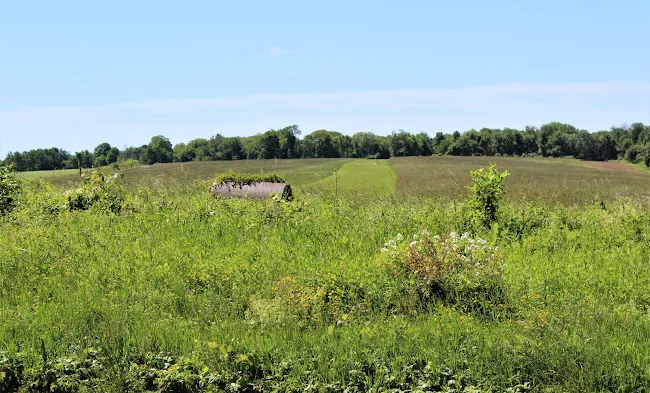 Good Hill Farm Airport-CT59