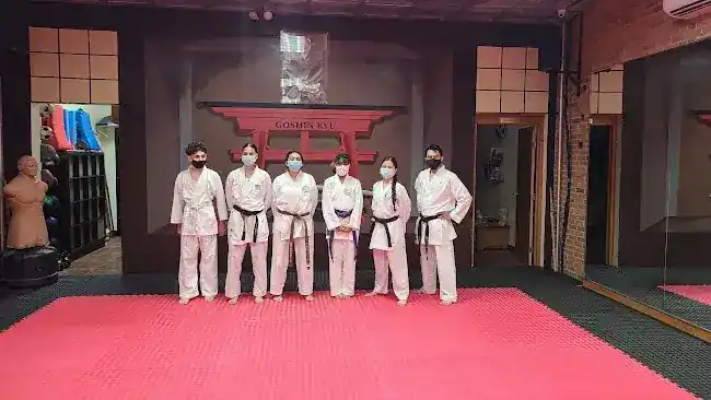 Goshin Ryu Martial Arts & Fitness