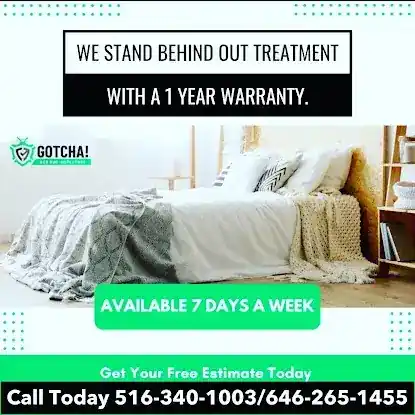Gotcha Bed Bug Inspectors