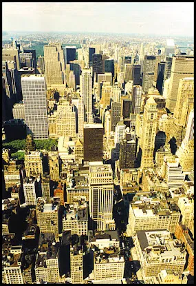 Gotham Center For New York