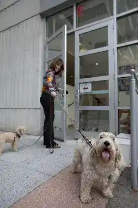 Gotham Veterinary Center
