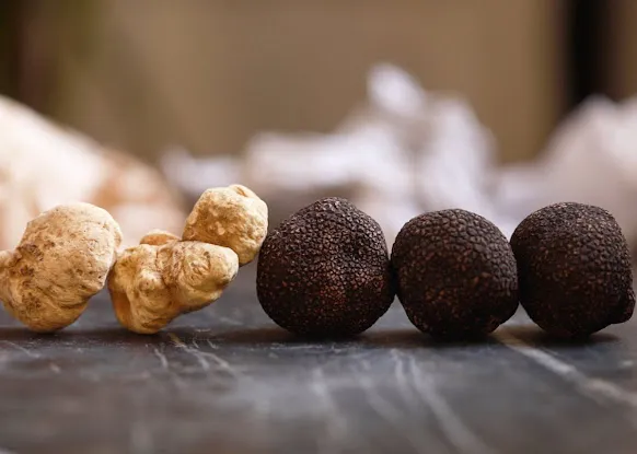 Gourmet Attitude Truffles - New York City