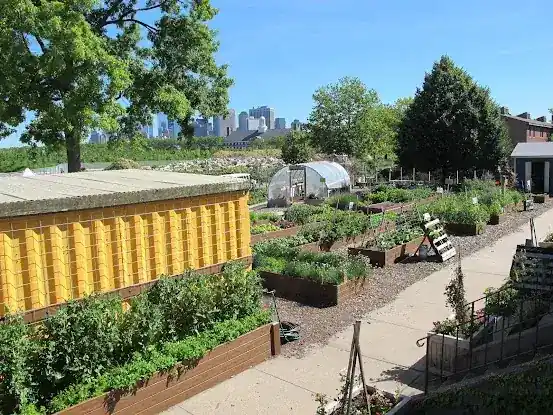 Governors Island Teaching Garden