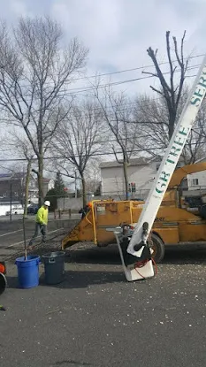 G&R Tree Removal Service, Tree Trimming, & More