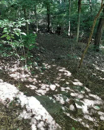 Graff Audubon Sanctuary