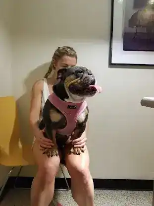 Gramercy Park Animal Hospital