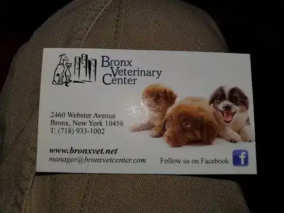 Grand Concourse Animal Hospital