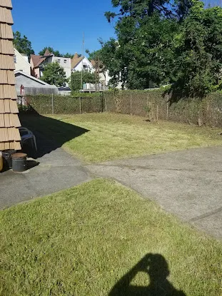 Grass & Yard Services Bronx