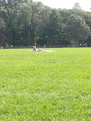 Great Lawn Softball Field #4