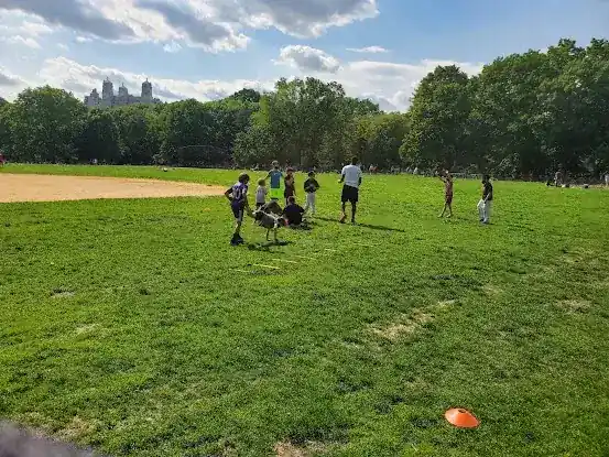 Great Lawn Softball Field 6