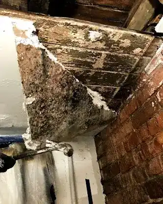 Greater NYC Hydro Water Restoration