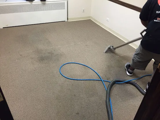 Green Rug Cleaners