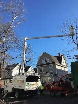 GreenLeaf Tree Care