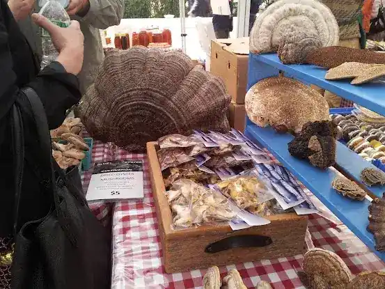 Greenmarket at Rockefeller Center