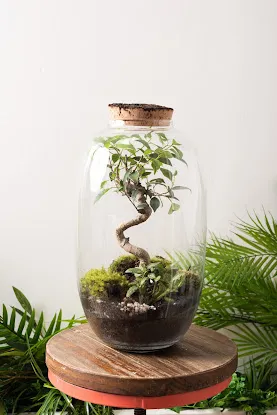 Greenopia