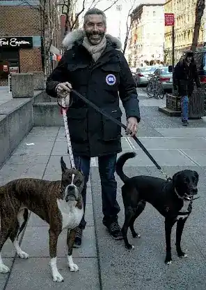 Gregg Walks Dogs
