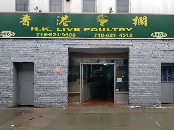 H K Live Poultry Inc