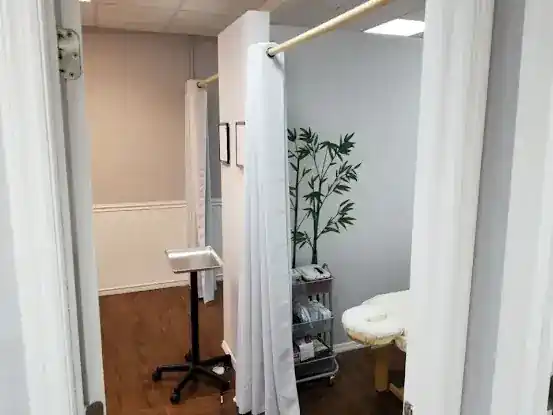 Han Acupuncture