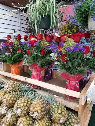Happy Farm