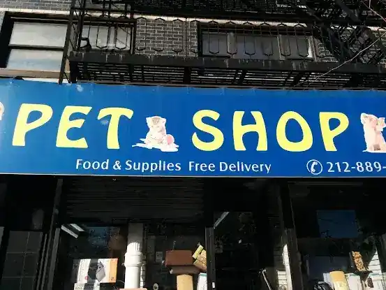 Happy Feet Pet Shop II