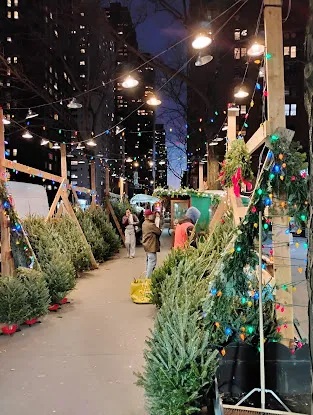 Happy little Christmas trees