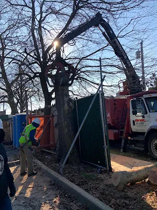 Harder Tree and Landscape Service
