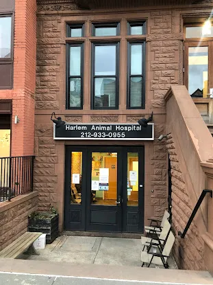 Harlem Animal Hospital