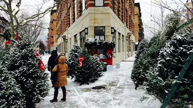 Harlem Christmas Trees by Uptown Xmas