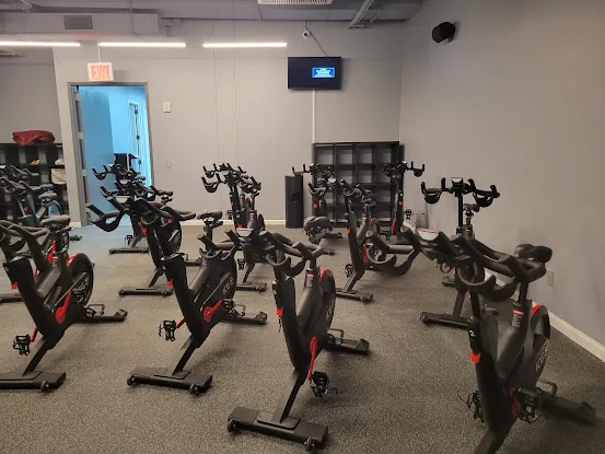HARLEM CYCLE