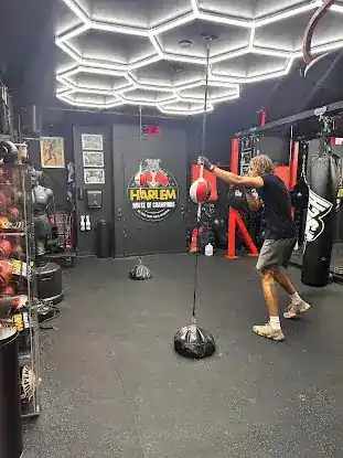 Harlem House of Champions