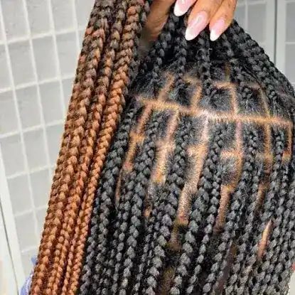 Harlem Locs And Braids