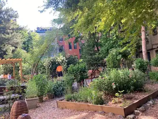 Harlem Rose Garden