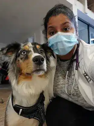 HEAL Veterinary Hospital