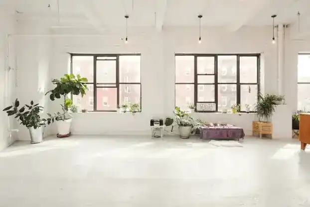 Healing New York