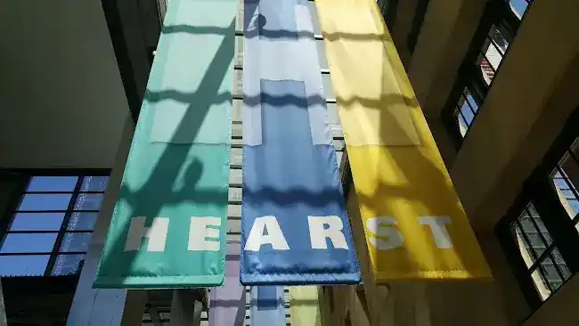 Hearst DMS